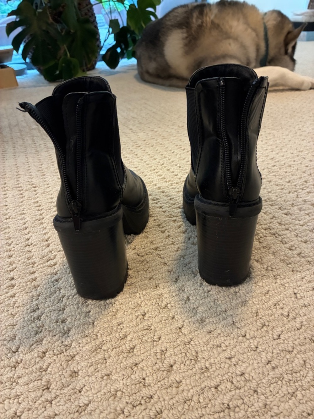 Steve Madden Black Leather Platform Block Heel Ankle Boots - Picture 2 of 2